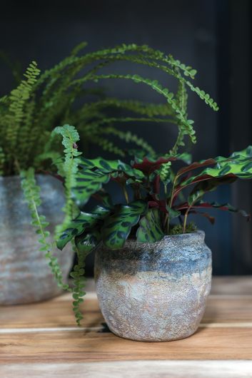 Earthy Ceramic Planter Pot - 6.25